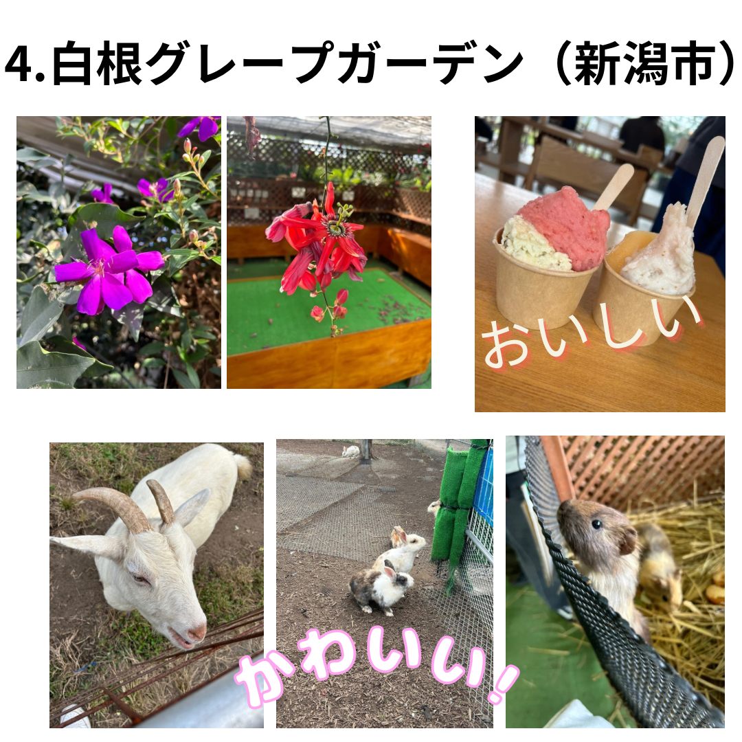 新潟スポット